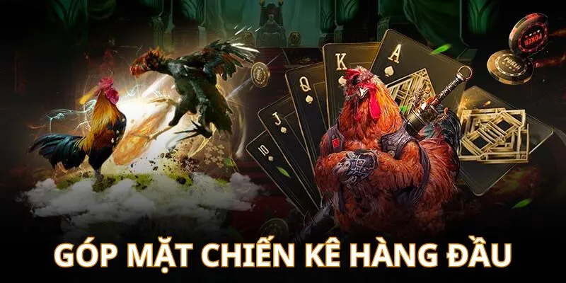 RR88 với sảnh cược chất lượng top đầu 2024