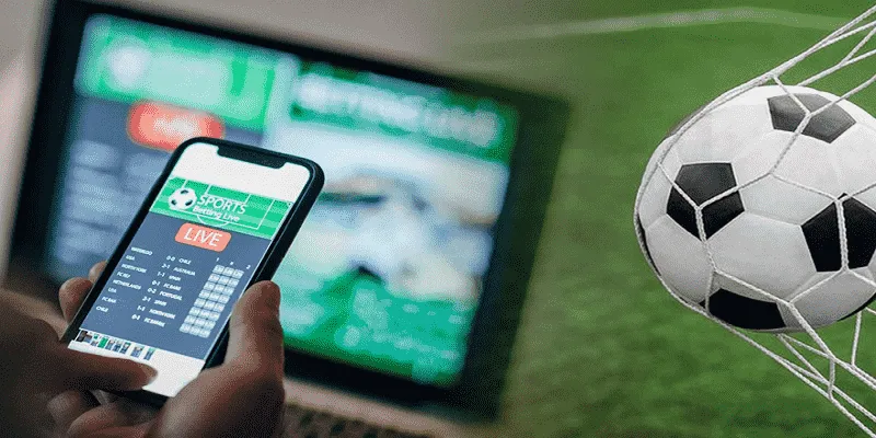 Quy trình cược mới 2024